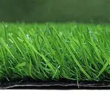Large Lawn Grass